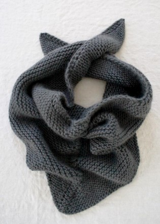 Бактус хустковою в'язкою - 5