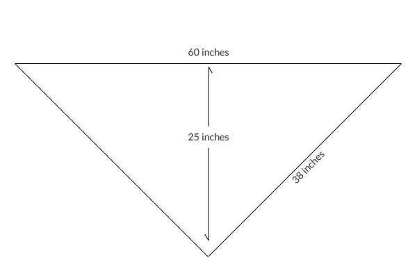 Бактус хустковою в'язкою - 2