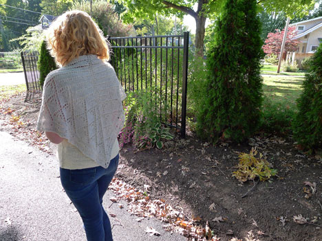 В'язаний бактус Крокос - 12